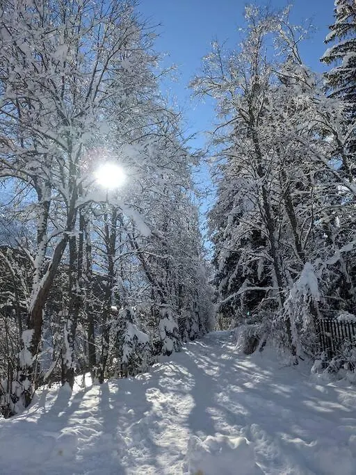 Chalet L'Ilet Ensoleille /Sunny Island Chalet Chamonix